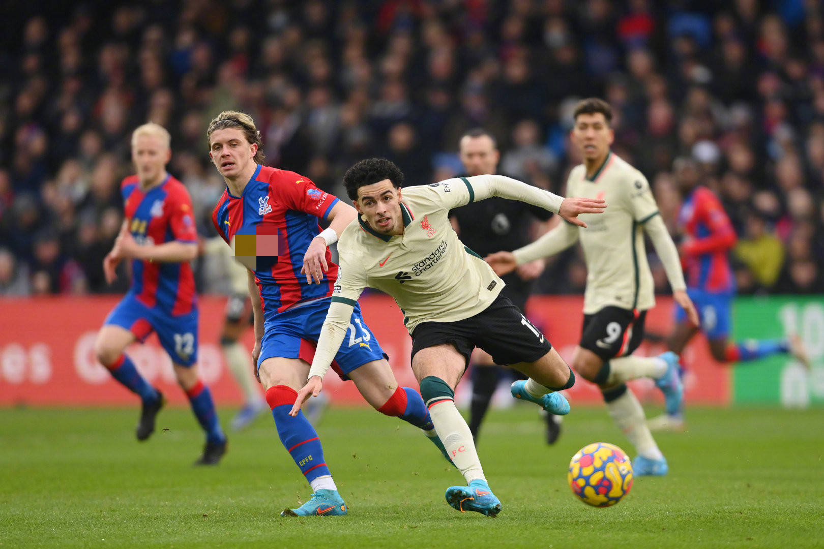 在一个中立 在一个中立